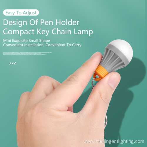 Hand-Held LED Bulb Lamp Outdoor Carabiner Keychain Light